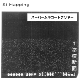 塗膜断面写真(スーパームキコートクリヤー)